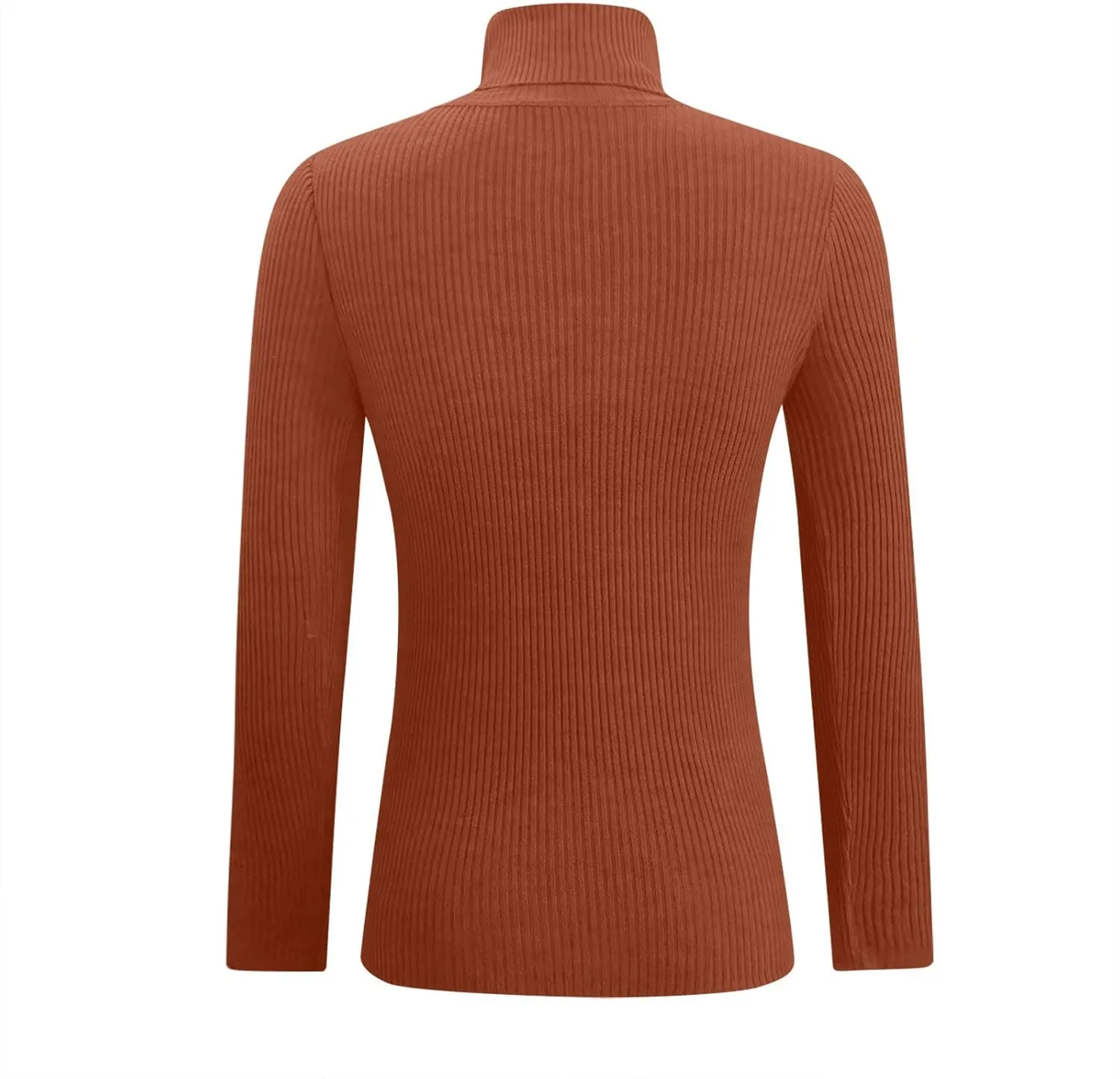 Slim Fit Sweaters for Women Turtle Neck Basic Top Warm Soft Blouse Long Sleeve Winter Pullover Solid Color Sweater